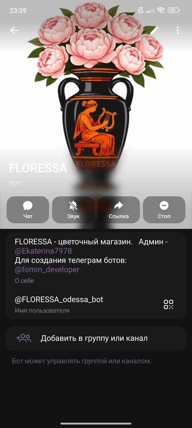 Профиль бота FLORESSA